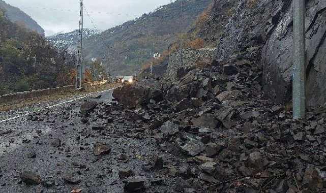 Artvin'de heyelan; kayalar yola düştü