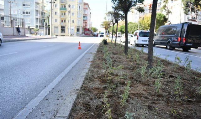 Atikhisar caddesi lavantalar ile donatıldı