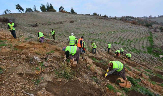 Balıkesir'de orman köylüsü bildiği işle kalkındırılıyor
