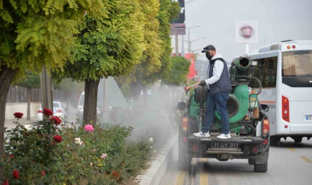 Bozüyük'te güller ilaçlanıyor