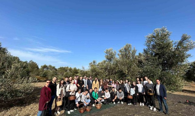 BUBFA Gastronomi öğrencileri zeytin üretim aşamalarını yerinde öğreniyor