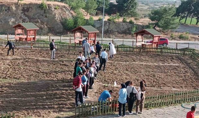 Burhaniye Uygulamalı Bilimler Fakültesi'nde sebze yetiştirilecek