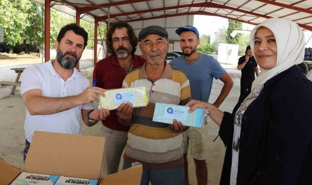 Büyükşehir, Serik'te 18 bin adet yapışkan tuzak dağıttı