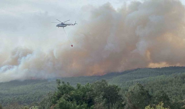 Çanakkale'de orman yangını...Bir köy boşaltıldı