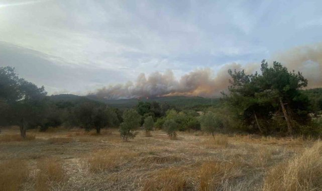 Çanakkale'deki orman yangını devam ediyor