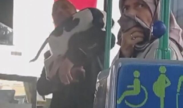 Çekmeköy'de kucağındaki köpekle otobüse bindi; tepki gösteren şoför ve yolcularla tartıştı
