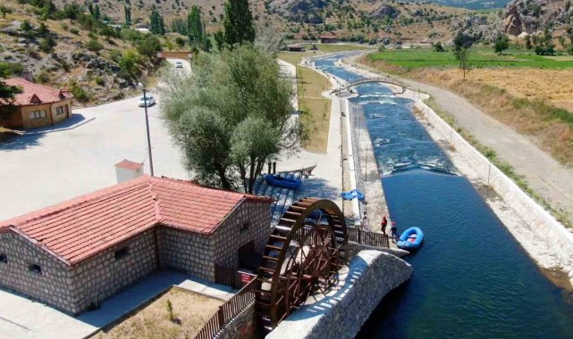 Çölyak hastaları için karabuğday unu üretiliyor