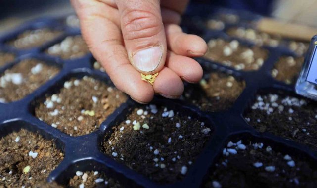 Cumhuriyet'in 100. yılında 1 Milyon yerel tohum dağıtılacak