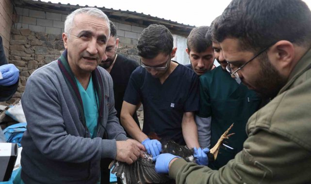 Diyarbakır'da veteriner hekim adayları saha çalışmalarına katıldı