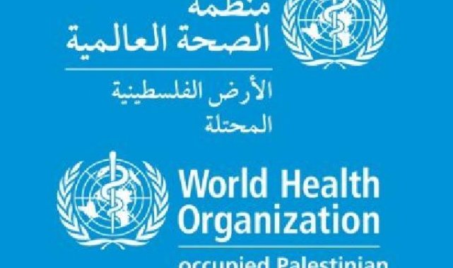 DSÖ Gazze'nin sağlık altyapısı ve hastaların durumunu değerlendirdi