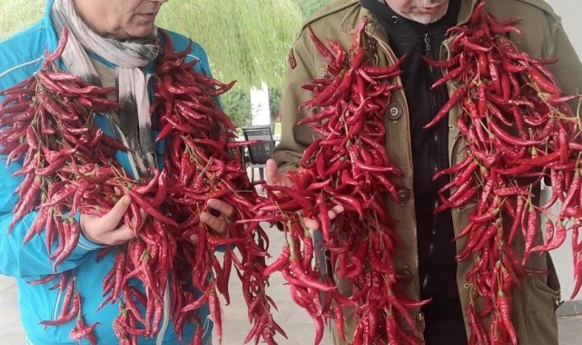 Duayen tiyatrocu Uygur kardeşler 'Çukurören Biberi'ne hayran kaldı