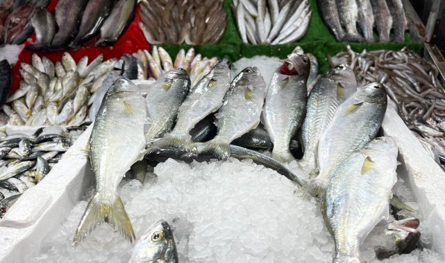 Ege ve Karadeniz'deki fırtına Kilis'teki balık tezgahlarını vurdu