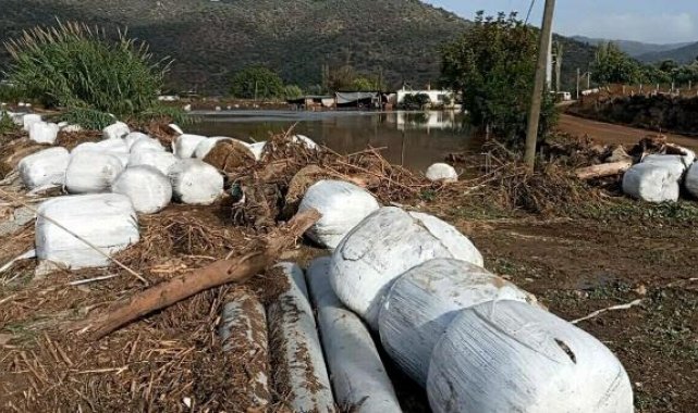 EKODOSD Başkanı: Söke'de sel sularının getirdiği atıklar önlem alınmazsa denize ulaşacak
