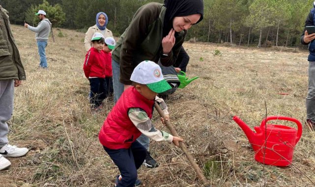 Emet'te fidan dikim etkinliği