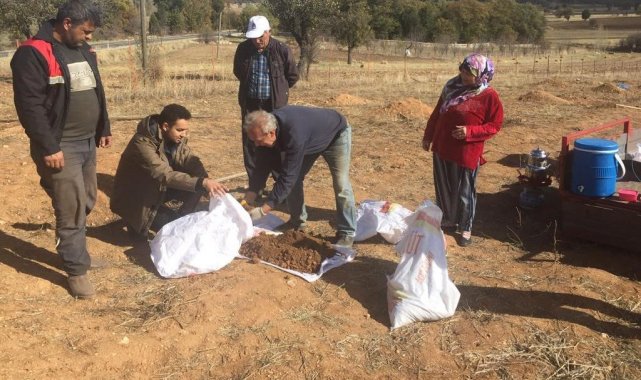 Emet'te toprak analizi numune alım çalışması