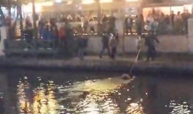 Eskişehir'de Porsuk Çayı'na düşen kadın, can simidiyle kurtarıldı