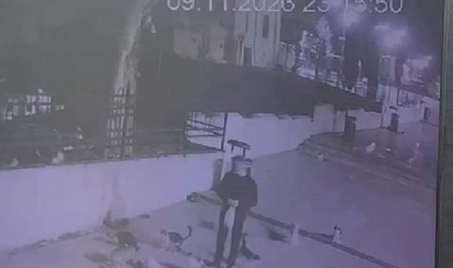 Fatih'te yavru kediyi çantasına koyan şüpheli kamerada