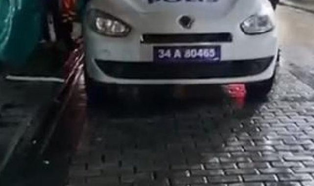 Fatih'te çantasına kedi koyarak giden şüphelinin evinde 8 ölü kedi bulundu
