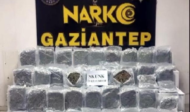 Gaziantep'te 28 kilo skunk ele geçirilen operasyonda 2 tutuklama