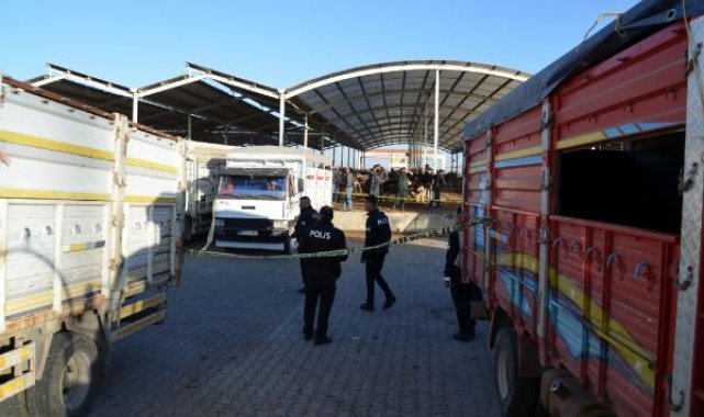 Hayvan pazarındaki kavgada 2 kardeş sırtından vuruldu