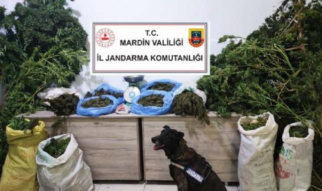 İşlettiği manav dükkanından uyuşturucu satan şüpheli tutuklandı