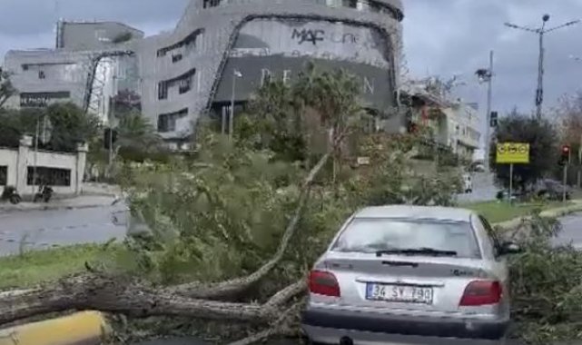 İstanbul'da fırtına; ağaç otomobil üzerine devrildi