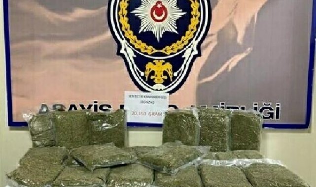İzmir'de 20 kilo bonzai ele geçirildi