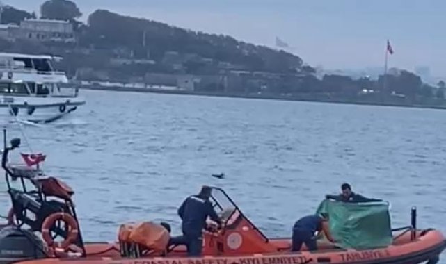 Kadıköy-Beşiktaş seferini yapan vapurdaki yolcu denize düştü