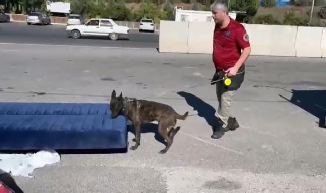 Kamyondaki çekyata gizlenmiş 13 kilo uyuşturucuyu 'Barbara' buldu