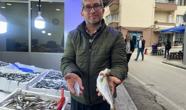 Karadeniz'de 300 gramlık mezgit yakalandı