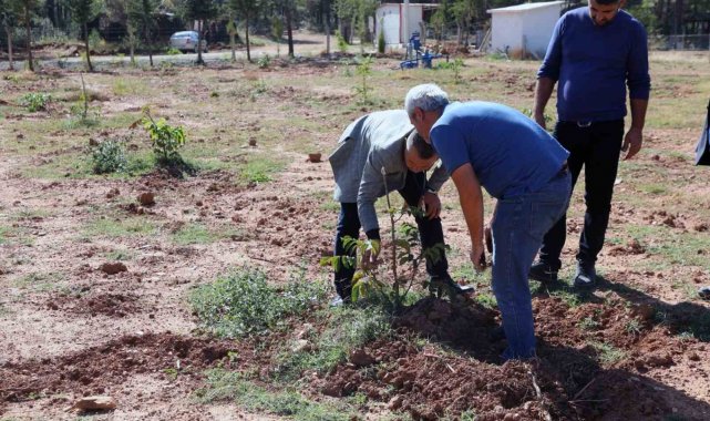 Kavaklıdere'de Ceviz ve Badem deneme bahçesi