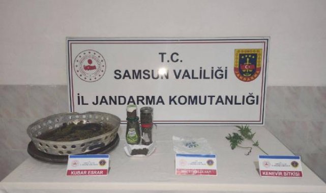 Kenevir ekip, esrar üreten şüpheliye gözaltı