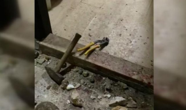 Köpeğini 10 yerinden bıçaklayan şüpheli, gözaltına alındı
