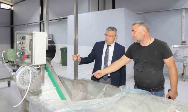 Köşk Belediyesi Kestane Tesisi, açılmak için gün sayıyor