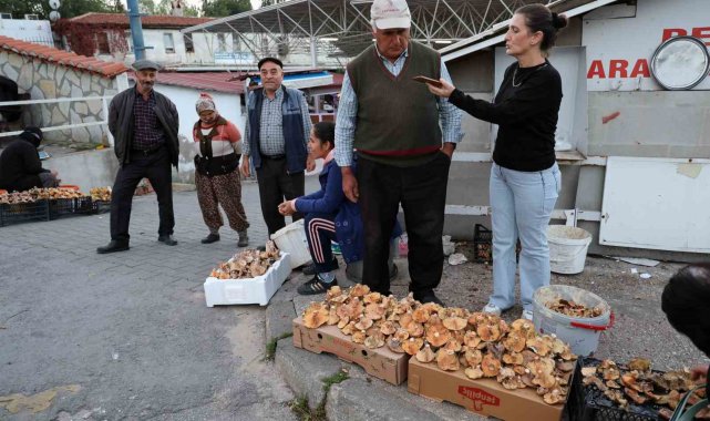 Kuraklığa rağmen Çıntar bolluğu