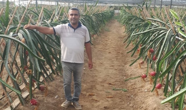 Küresel ısınma Aydın'da fırsata dönüşüyor