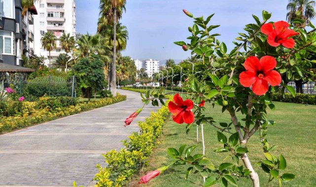 Mersin'de 9 milyon bitkilendirme çalışması yapıldı