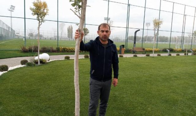Metin Diyadin: Türk futbolunu 2-3 takım üzerine kurulu bir dizi gibi düşünebiliriz