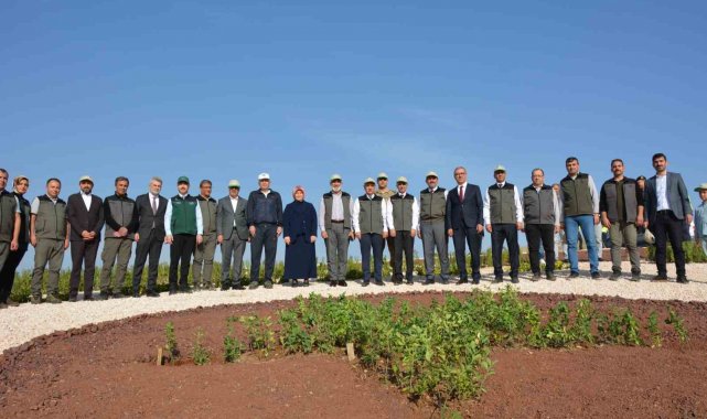 Milli Ağaçlandırma Günü'nde deprem şehitleri unutulmadı
