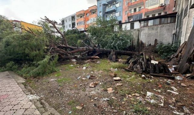 Muğla'da hortum çatıları uçurdu, ağaç ve direkleri devirdi; o anlar kamerada