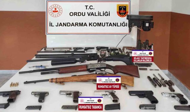 Ordu'da silah ve mühimmat kaçakçılığı operasyonu: 1 tutuklu