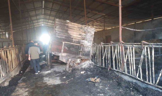 Orman yangınından etkilenen işletmelerde incelemelerde bulunuldu