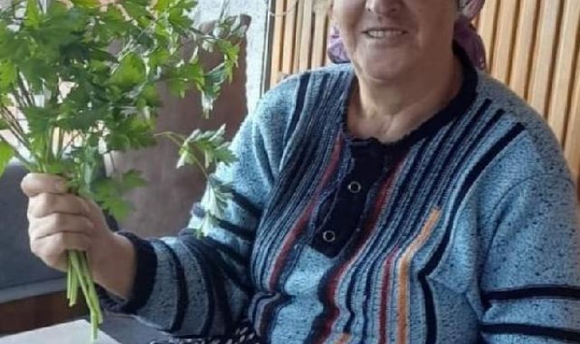 Otomobilin çarptığı yaya öldü