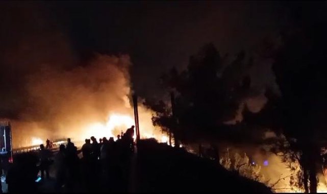 Otoyolda yanan TIR'daki alevler ormana sıçradı