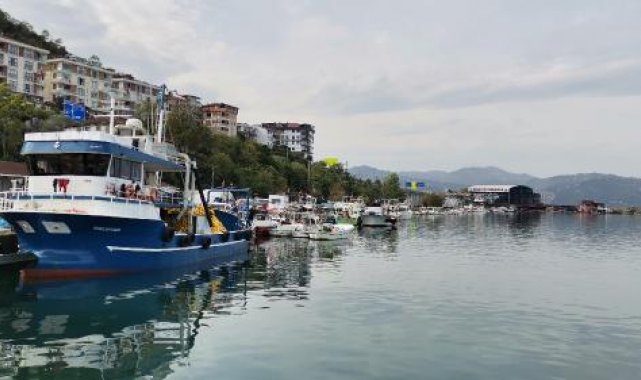 Prof. Dr. Aydın: Karadeniz'de balık stoklarımızda çöküş var