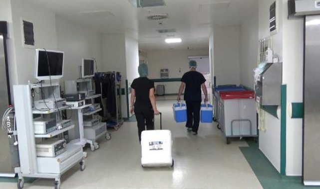 Prof. Dr. Kaya: Kadaverik organ bağışı, pandemi ile çok dramatik bir şekilde düştü