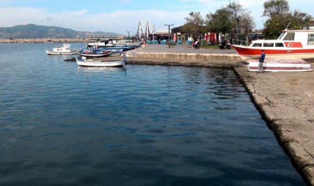 Prof. Dr. Sarı: Marmara Denizi'nin yüzey suyu sıcaklığı hala 20 derece; besin zinciri etkilenebilir