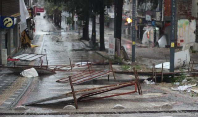 Sakarya'da fırtına; ağaçlar devrildi, çatılar uçtu
