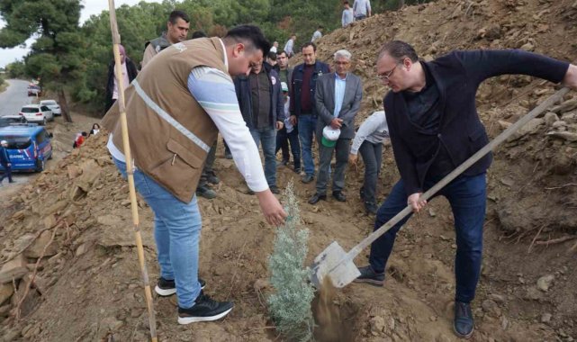 Sarıgöl'de fidanlar yanan ormanlık alana dikildi