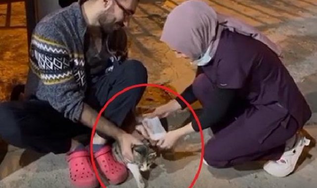 Sekerek acil servisin önüne gelen kedi, sağlıkçılar tarafından tedavi edildi
